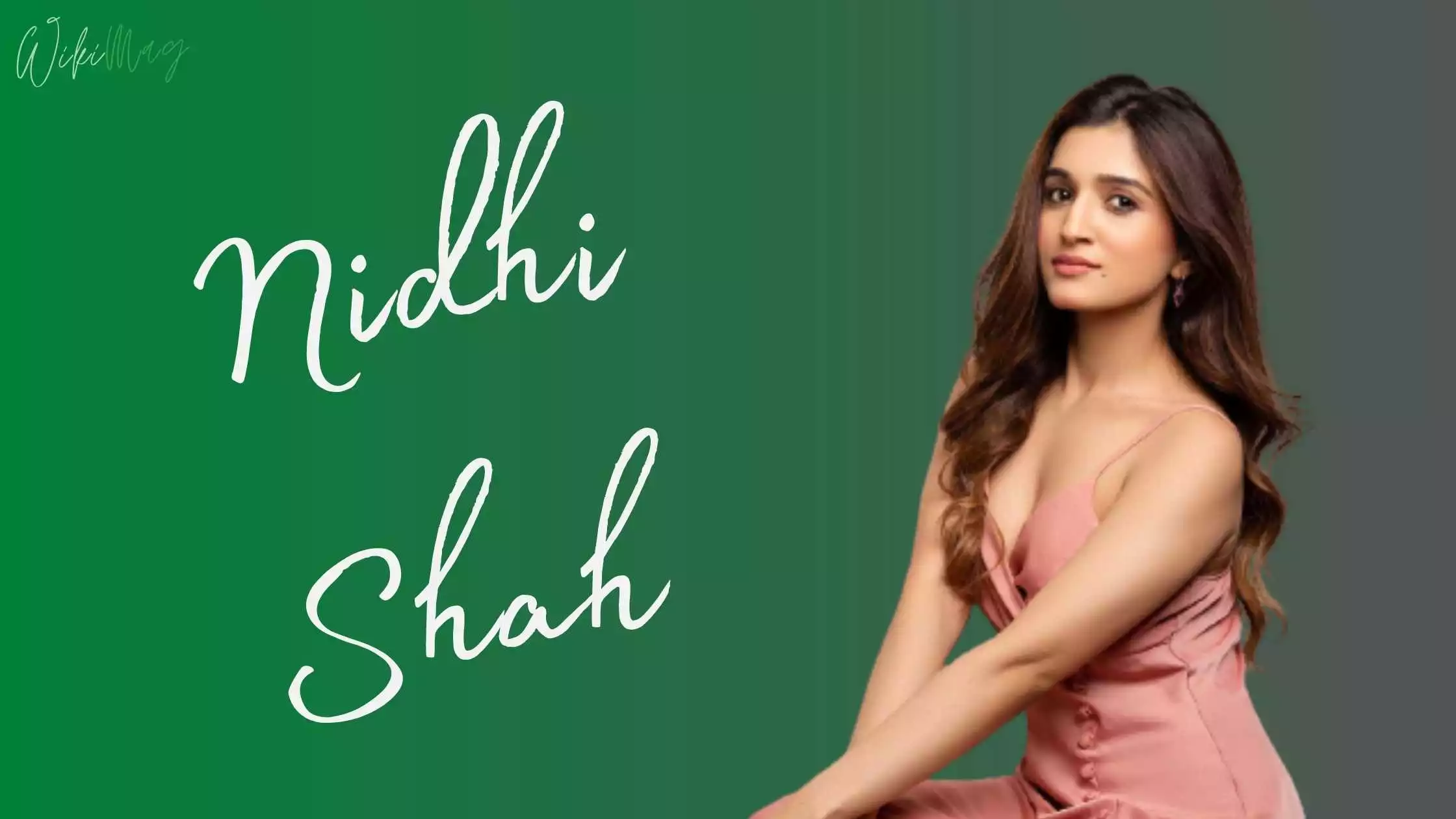 Nidhi Shah Wiki, Age, Height, Family, Net Worth, Biography & More